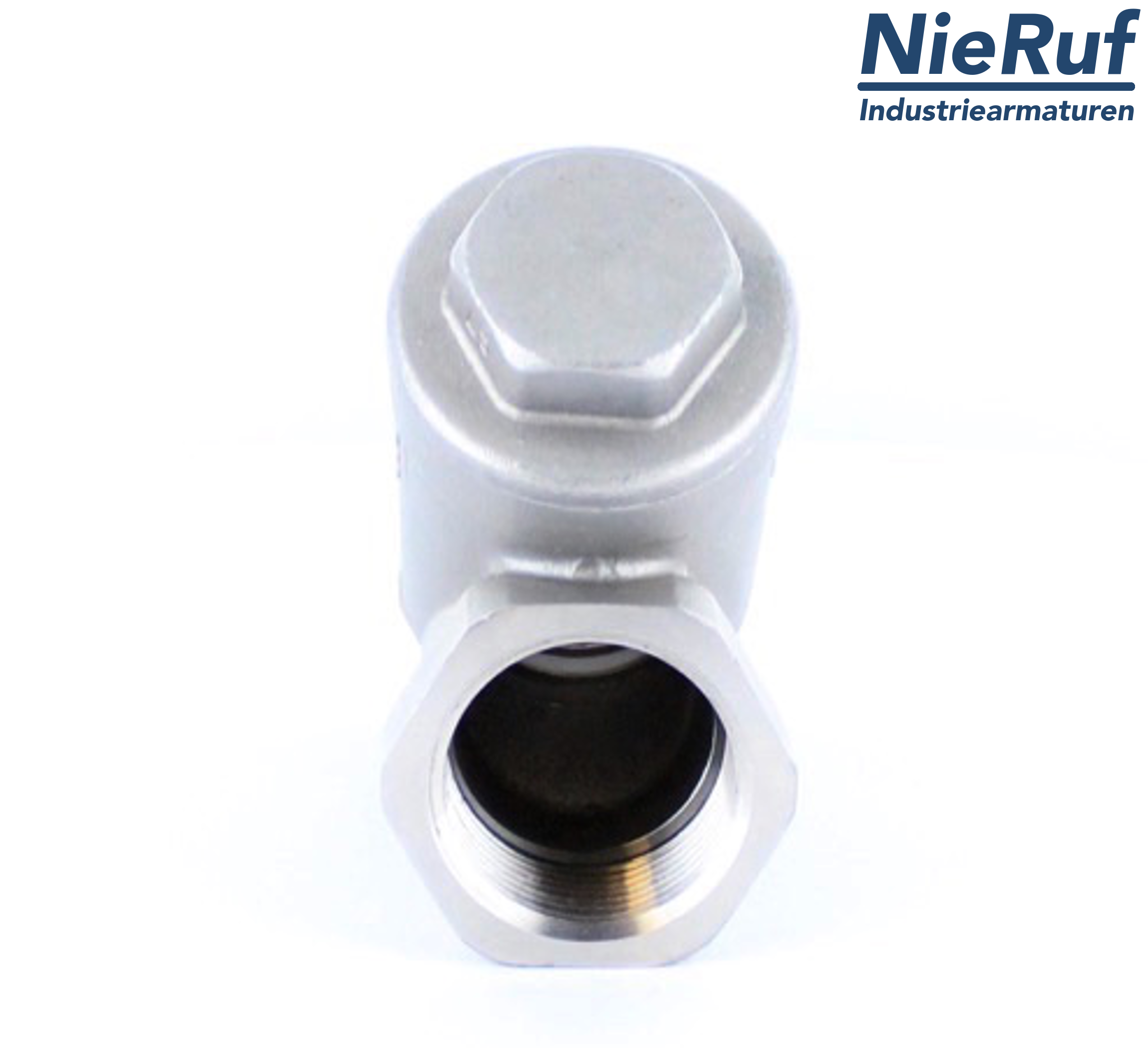 clapet anti-retour DN50 - 2" pouce acier inoxydable 1.4408 PTFE