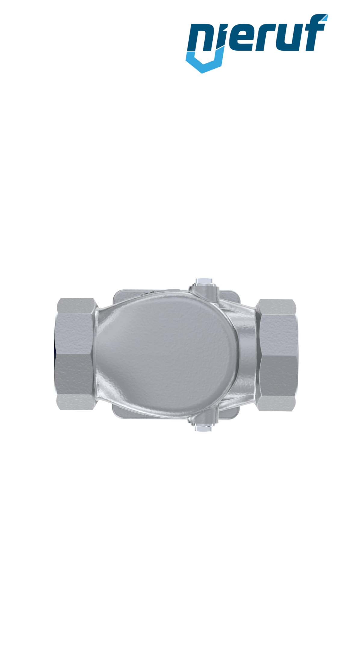 réducteur de pression à membrane 2" pouce NPT DM12 acier inoxydable FPM / FKM 1.5 - 6.0 bar