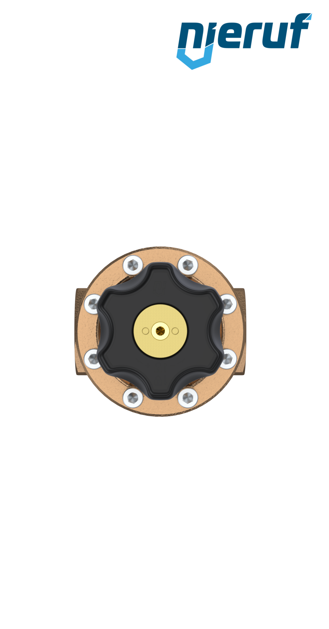 régulateur de pression de précision 2" pouce DM14 bronze FKM 5.0 - 30.0 bar