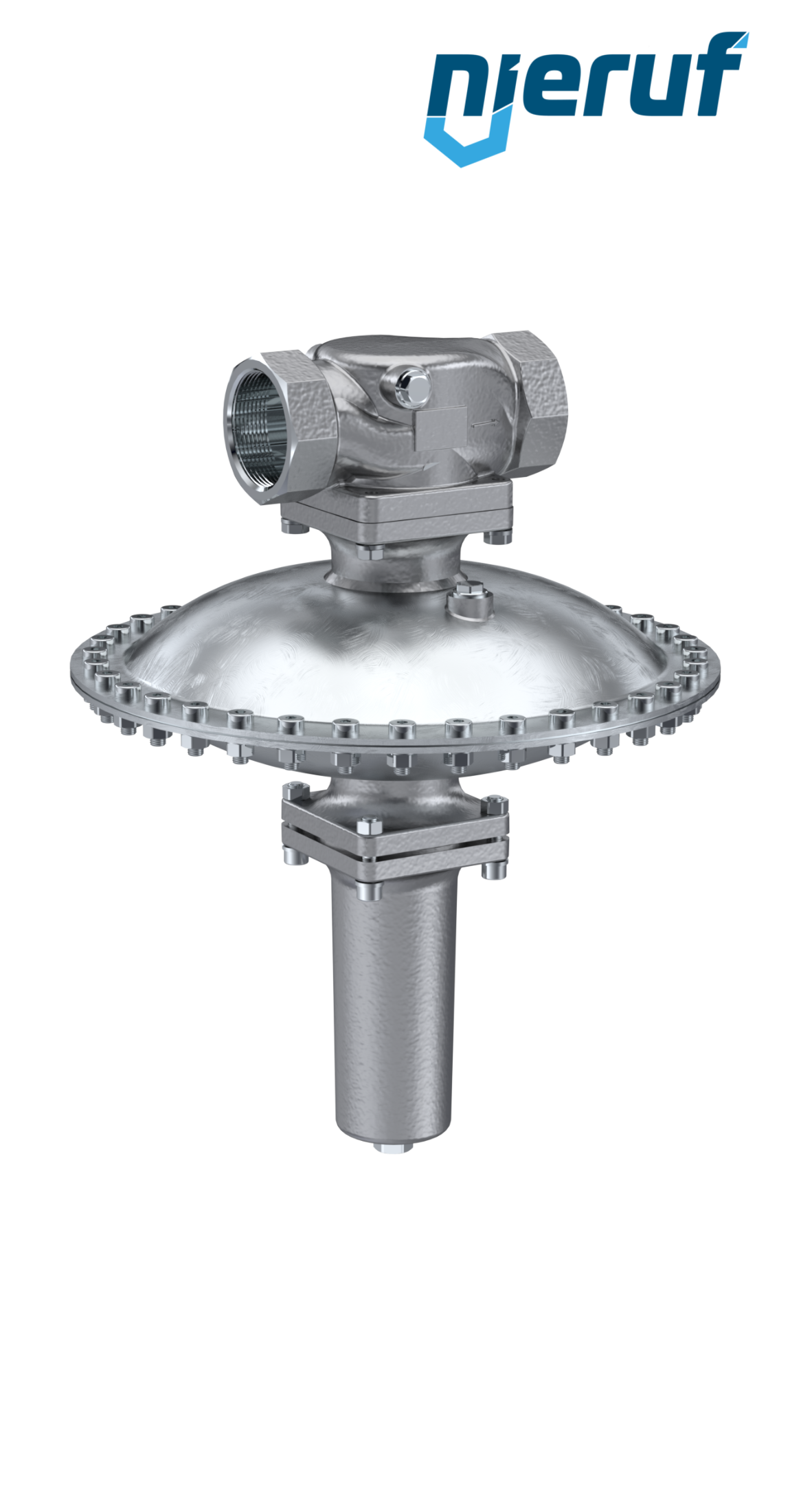 Réducteur de pression en mbar DN50 DM23 femelle NPT acier inoxydable FKM 7 - 100 mbar