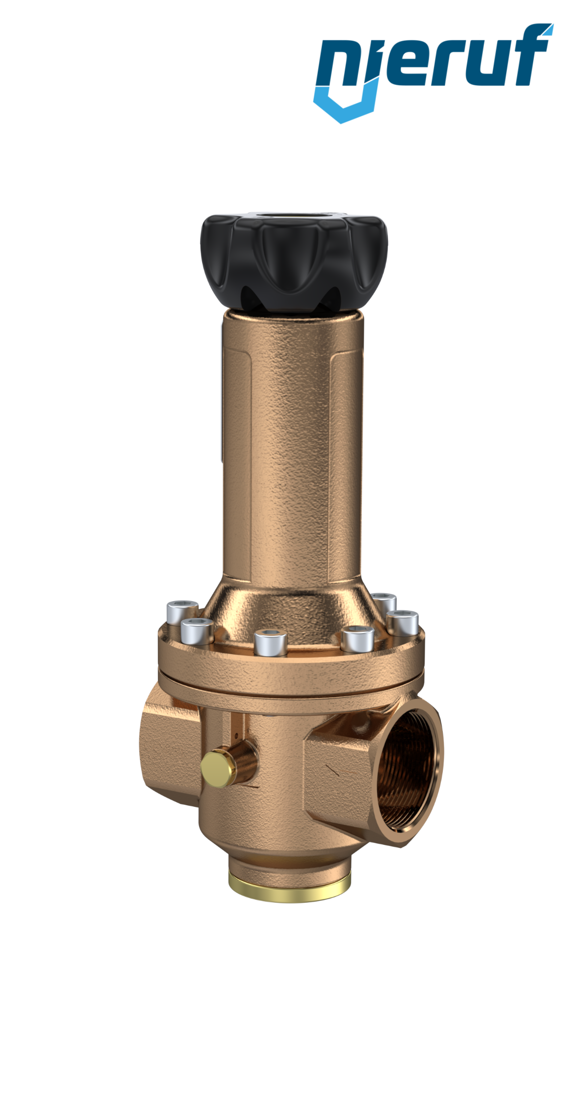 régulateur de pression de précision avec bague d'appui 1 1/2" pouce DM14 bronze FKM 0.5 - 15 bar