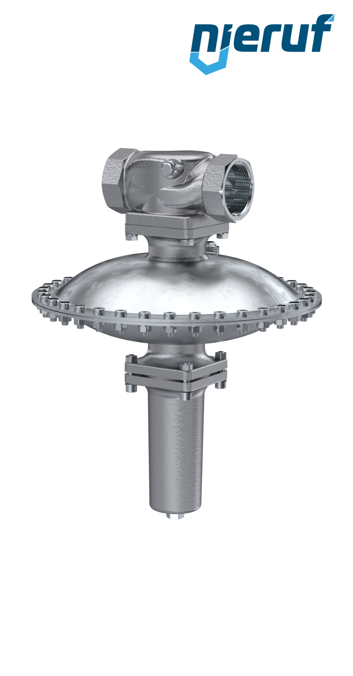 Réducteur de pression en mbar DN50 DM23 femelle NPT acier inoxydable FKM 7 - 100 mbar
