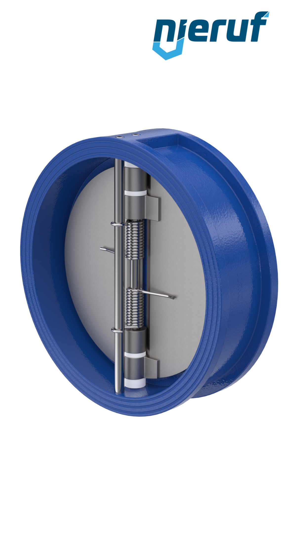 clapet anti-retour à double battant DN300 ANSI150 DR02 ANSI 150 GGG40 avec revêtement époxy bleu de 180µm  EPDM