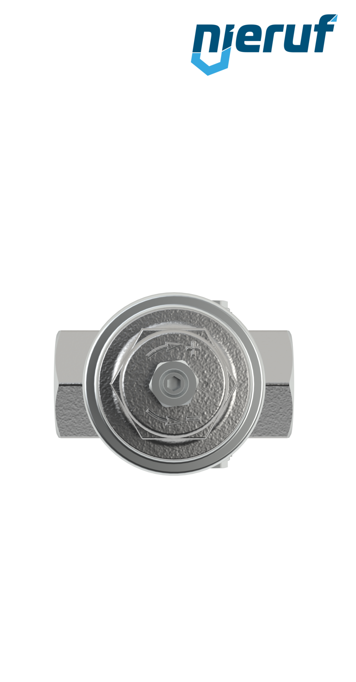réducteur de pression pour vapeur 1/2" pouce NPT DM21 acier inoxydable PTFE / EPDM / FEPM 0.3 - 2.0 bar
