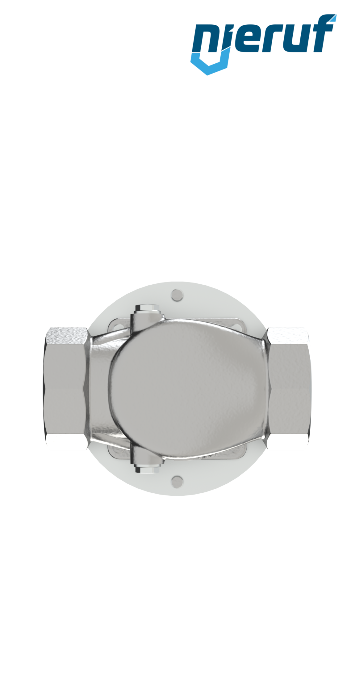 réducteur de pression pour vapeur - basse pression 2" pouce DM21 acier inoxydable PTFE / EPDM / FEPM 0.3 - 2.0 bar