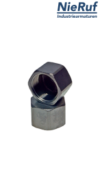 capuchon 1/4" pouce NPT acier inoxydable 316L femelle